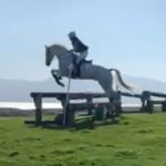 Kate Shields - @shields.kate - Instagram