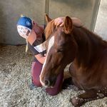 Kate Shields - @kate_shields2 - Instagram