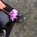 KateShiman - @kateshiman2 - Instagram