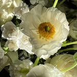 Kate Shorter - @communewithlight - Instagram