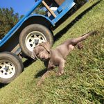 Katelee Marie Sikes - @kateleesikes_23 - Instagram