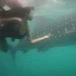 KatteZskate - @kate_skates_welovebarcelona - Instagram