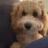 katethesmileyface - @katethesmileyface - TikTok