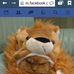 Kate Sorrell - Facebook