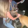 kate spiro - @kate.spiro - TikTok
