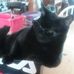 Katie Spitzer - Facebook