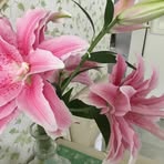 Catherine Springsteen - Facebook