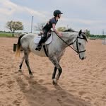 Kate St.Clair - @atxequestrian - Instagram