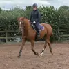kate - @kate_spence_ - TikTok