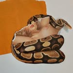 Kate St John - @ksjcollageart - Instagram