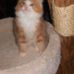 Kate Melton Stoll - Facebook