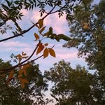 Kate Stott - @kate12800 - Instagram