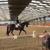 Kate Stott Equestrian Coaching - Facebook