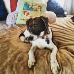 Katie Stowell - @hypnoticsecrets - Instagram