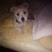 Katie Strachan - Facebook