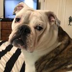 Kate Stratton - @kwstratton - Instagram