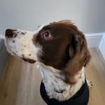 Kate Stratton - @katestratton34 - Instagram