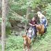 Katie Strauss - Facebook