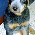 Kathy Stringfellow - Facebook