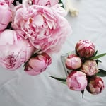 Эпиляция Шугаринг РнД Катерина - @kate_sugaring_rnd - Instagram