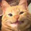 KateSugar - @xkatesugarx - TikTok