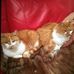 Kate Sutherland - Facebook