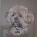 Kate Sutherland - Facebook
