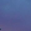 kate_tate_ - @kate_tate_ - TikTok