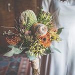 Kate Telfer - @kate.telfer1 - Instagram