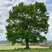 Kate Tesch - Facebook