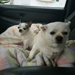 Kate Thomason - @kate.thomason.9 - Instagram