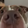 Peanuts - @katelyntimmons395 - TikTok