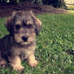 kate trotter - @izcmom - Instagram
