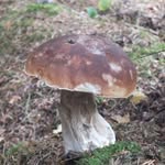Kate usher - @30kate_photography03 - Instagram