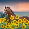 kate.valley - @kate.valley - TikTok