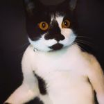 Katie Varner - @monkeymaddie01 - Instagram