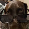 Verity - @kate.verity - TikTok