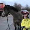 katevermaas - @katevermaas - TikTok