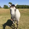 Katie Vest - @katie_vest - TikTok