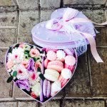 Екатерина&Виктория - @kate_vicki - Instagram