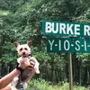 Kate Vossen - @user529263529 - TikTok