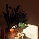 Kate Wade - @katewade1023 - Instagram