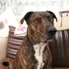 katewade123 - @katewade123 - TikTok
