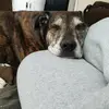 katewade1963 - @katewade1963 - TikTok
