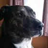 katewade703 - @katewade703 - TikTok