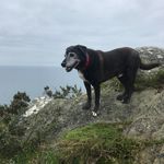 Kate Waldron - @pops20vq - Instagram
