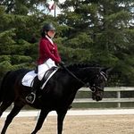 Kate Wall - @kate_wall_equine - Instagram