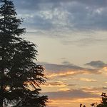 Kate Waller - @katewaller2020 - Instagram