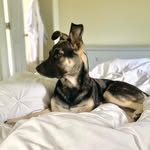 Kate Waller - @whereismymacchiato - Instagram