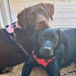 Kate Ware - @mnkware - Instagram